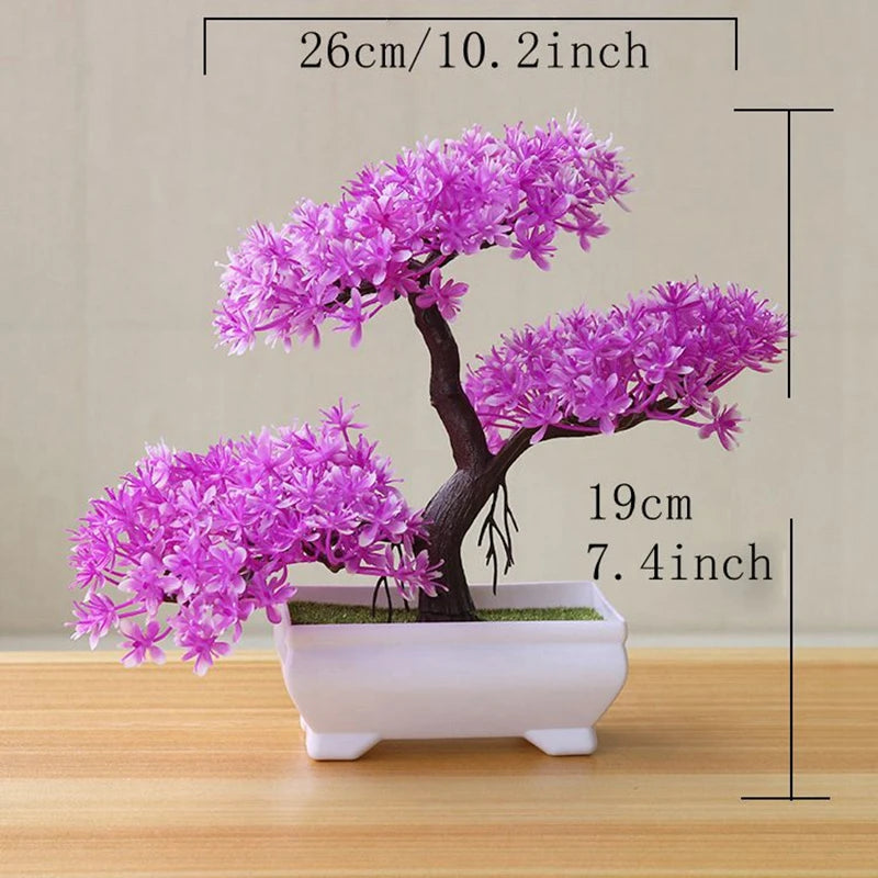 VINE BONSAI PLANT