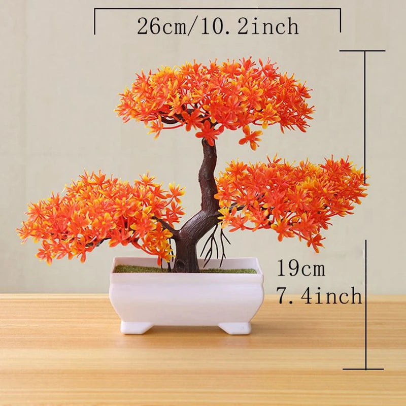 VINE BONSAI PLANT