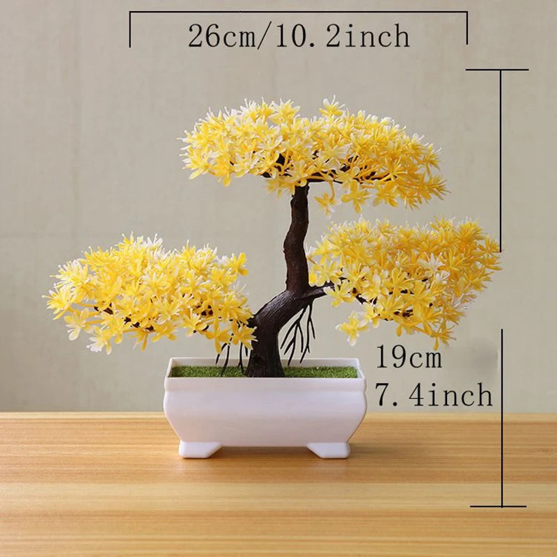 VINE BONSAI PLANT