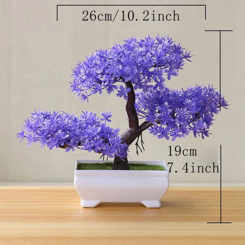 VINE BONSAI PLANT