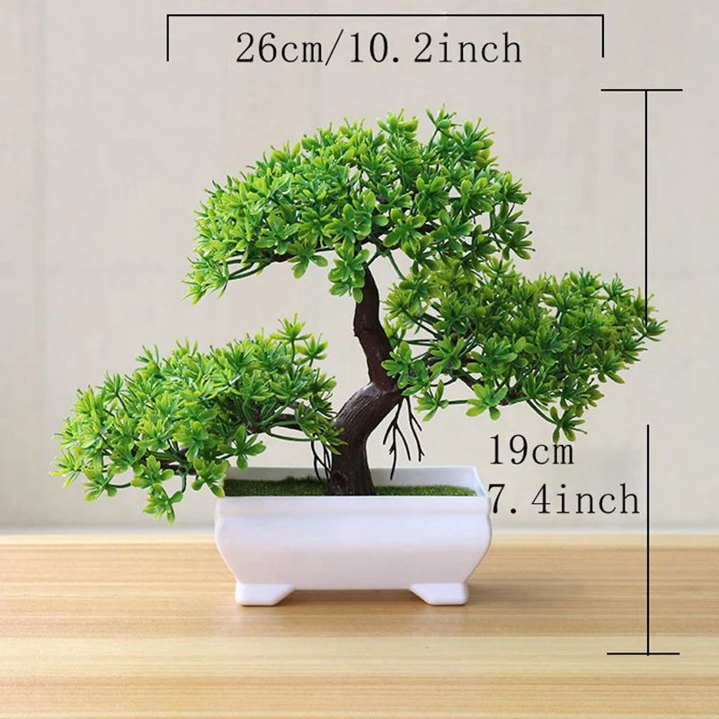 VINE BONSAI PLANT