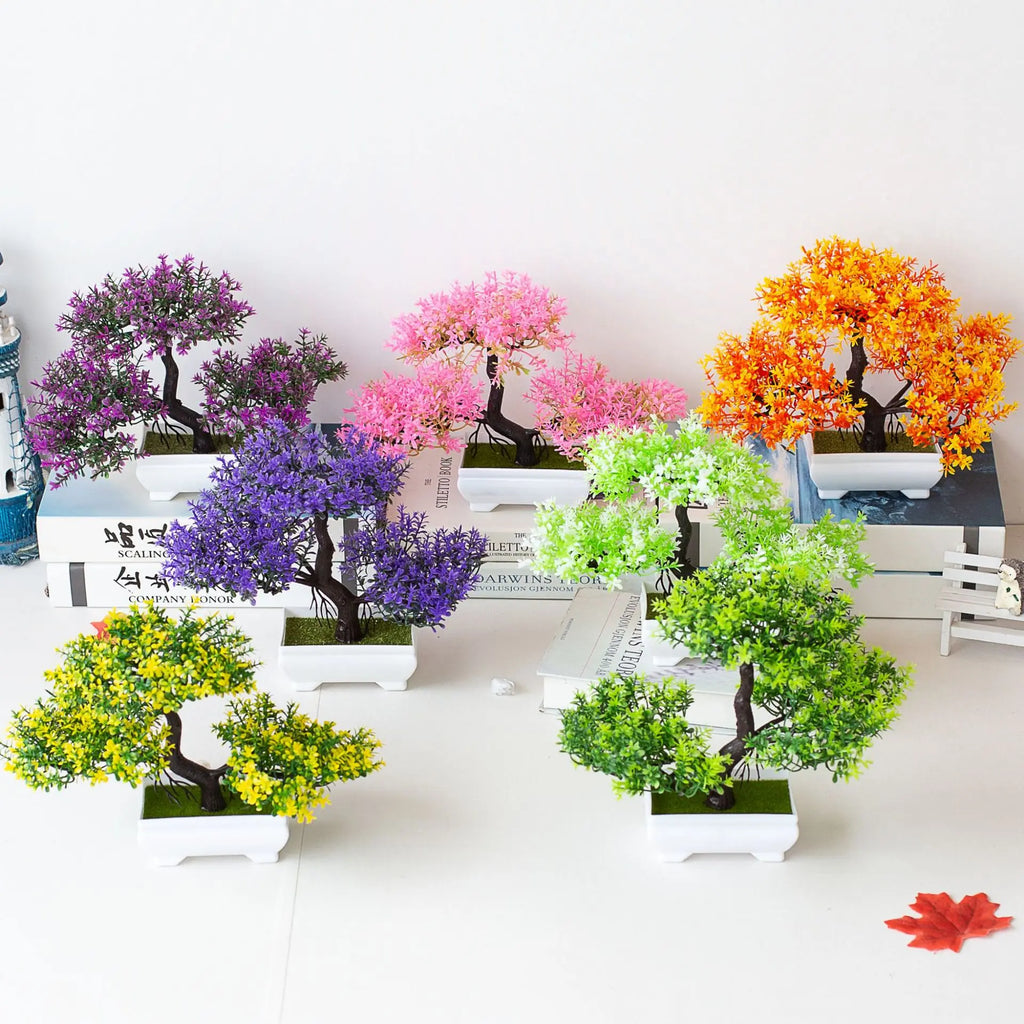 VINE BONSAI PLANT