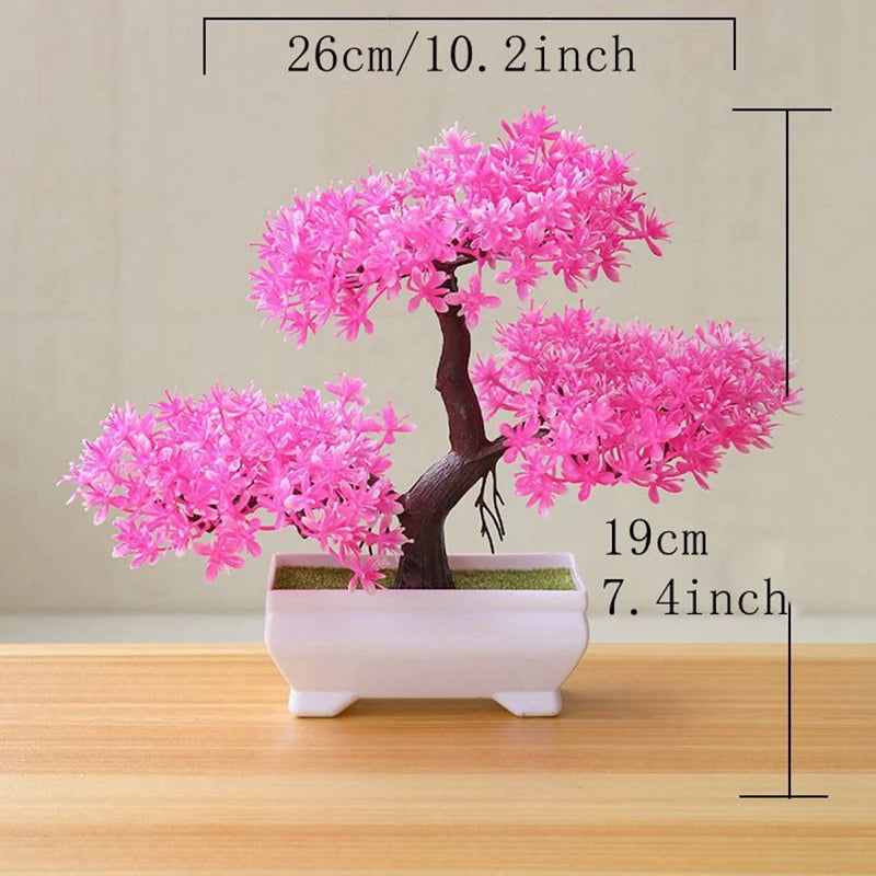 VINE BONSAI PLANT