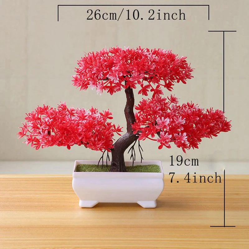 VINE BONSAI PLANT